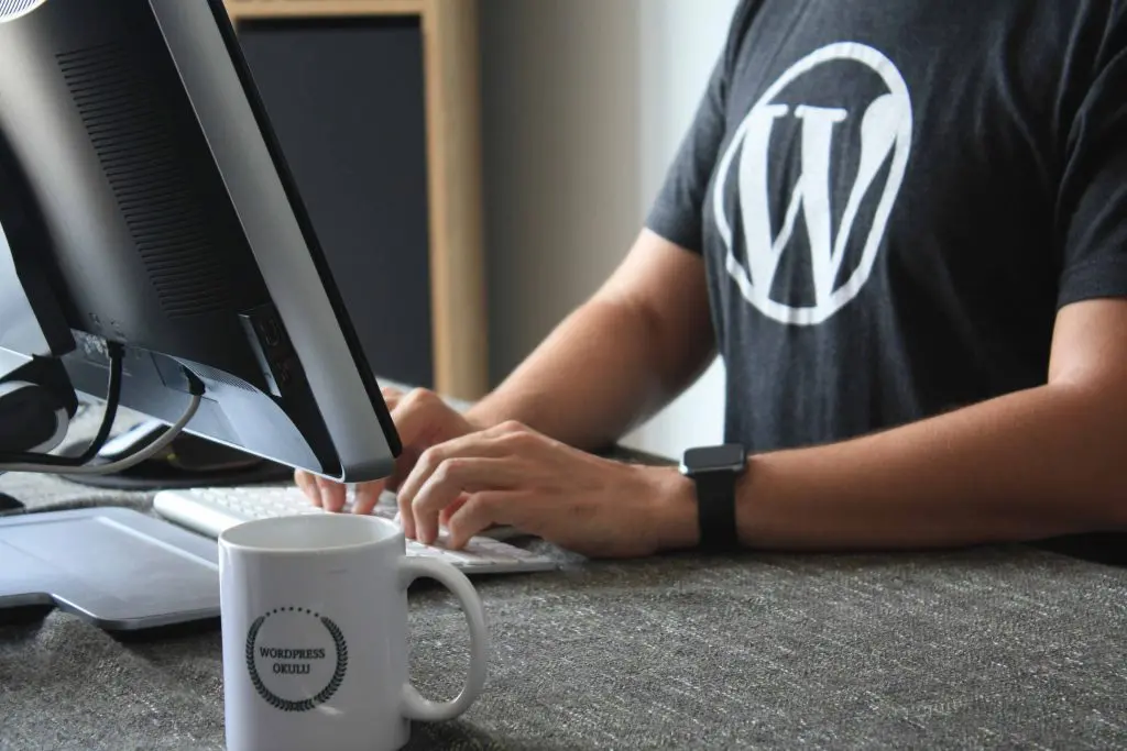 WordPress Website Verify in Google Webmaster tool
